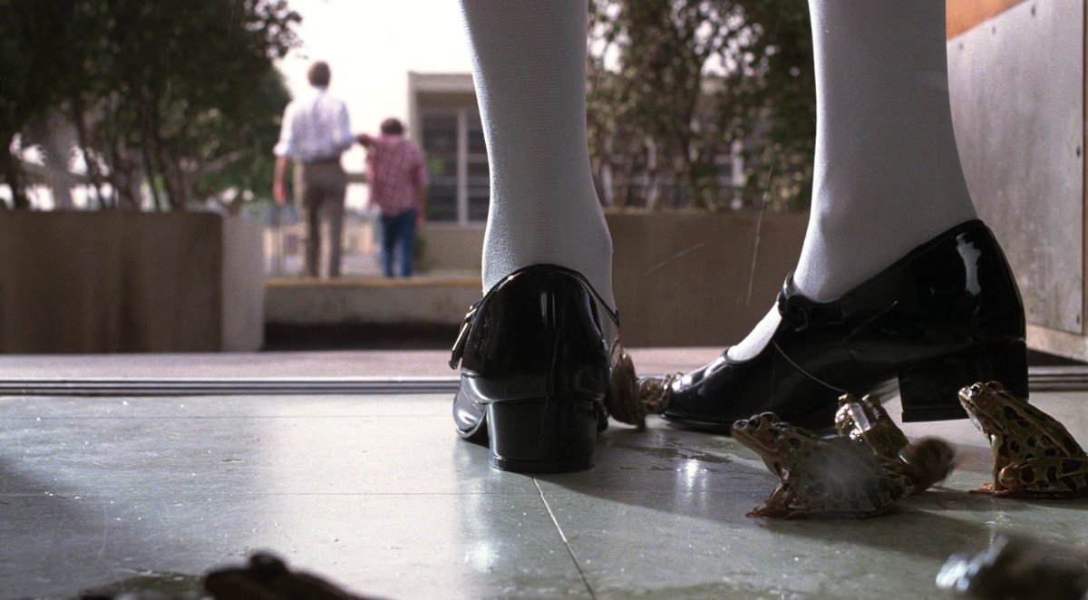 Крысы подружки