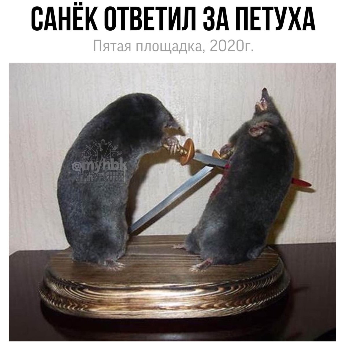 Матрасик для крысы