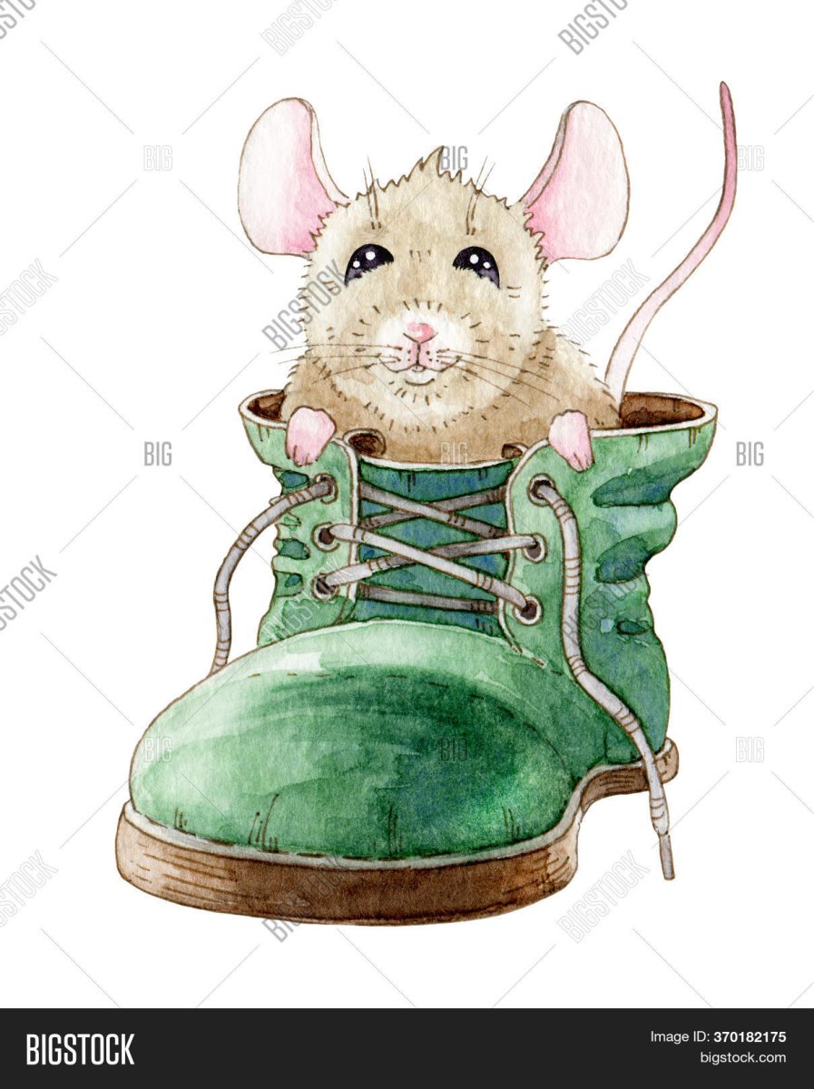 Мышка в сапожках