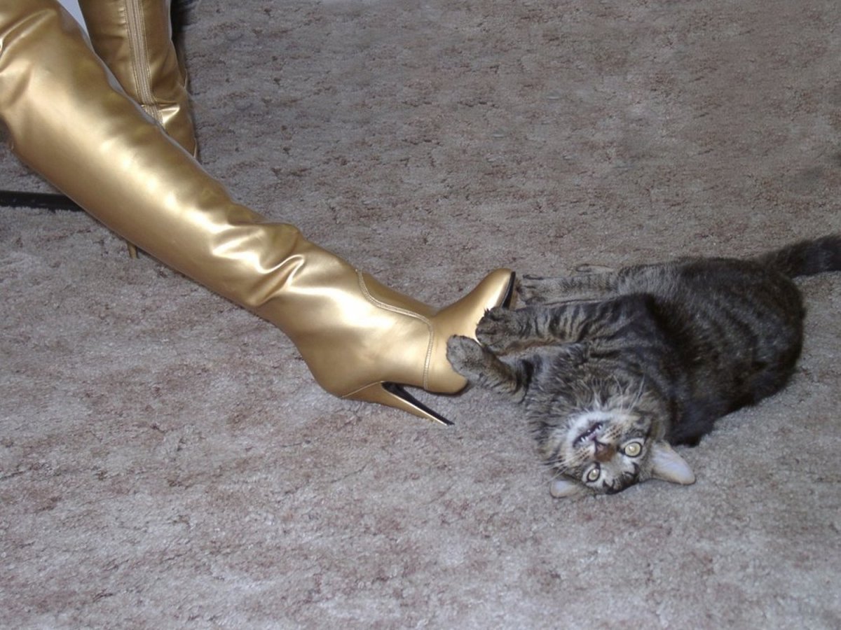 Топчут каблуками животных