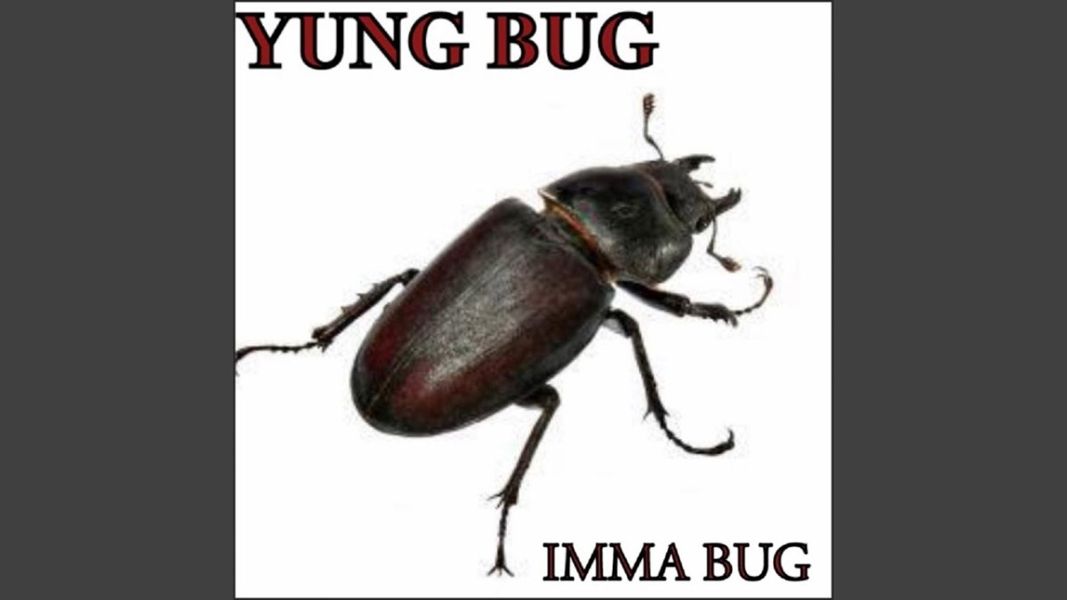 Чёрный муравей-древоточец