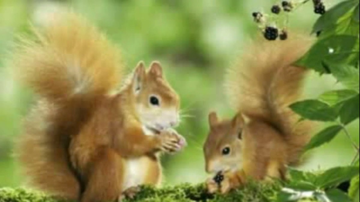 Вадим Трунов белки