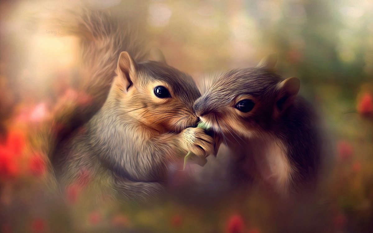 Обыкновенная белка с бельчатами