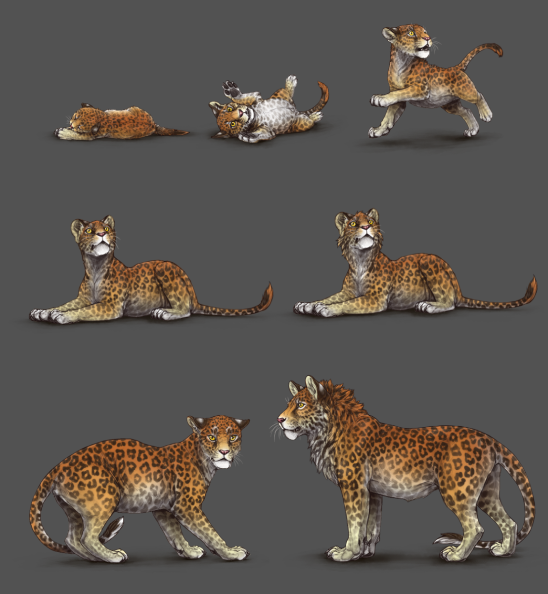 Марози пятнистый Лев