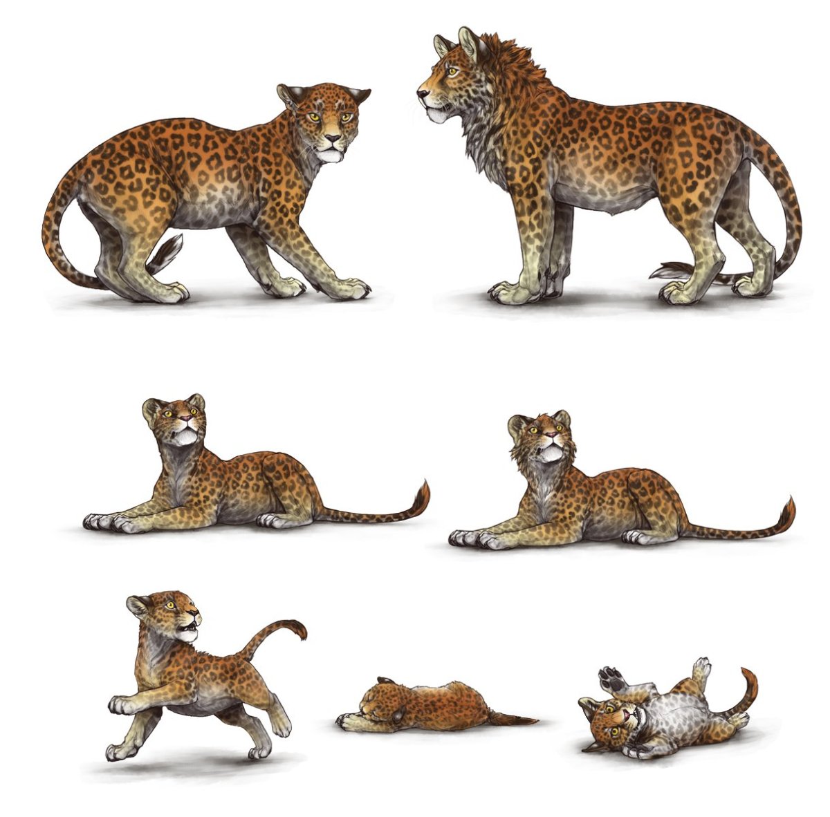 Леопон гибрид