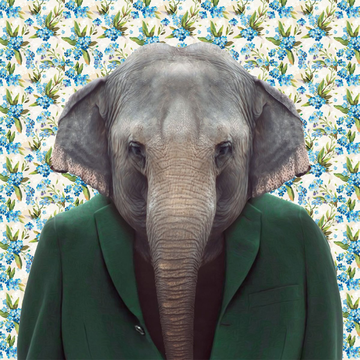 Портреты животных