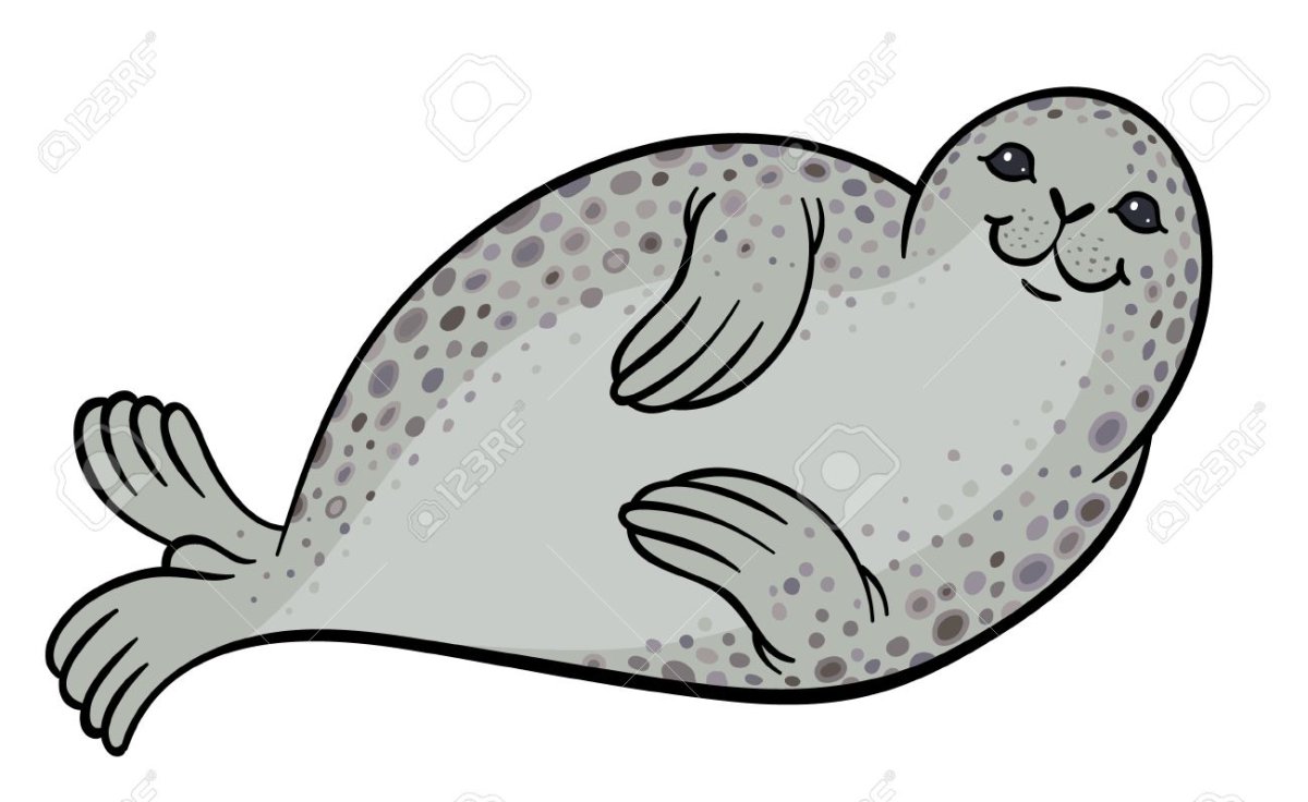 Нерпа для вырезания