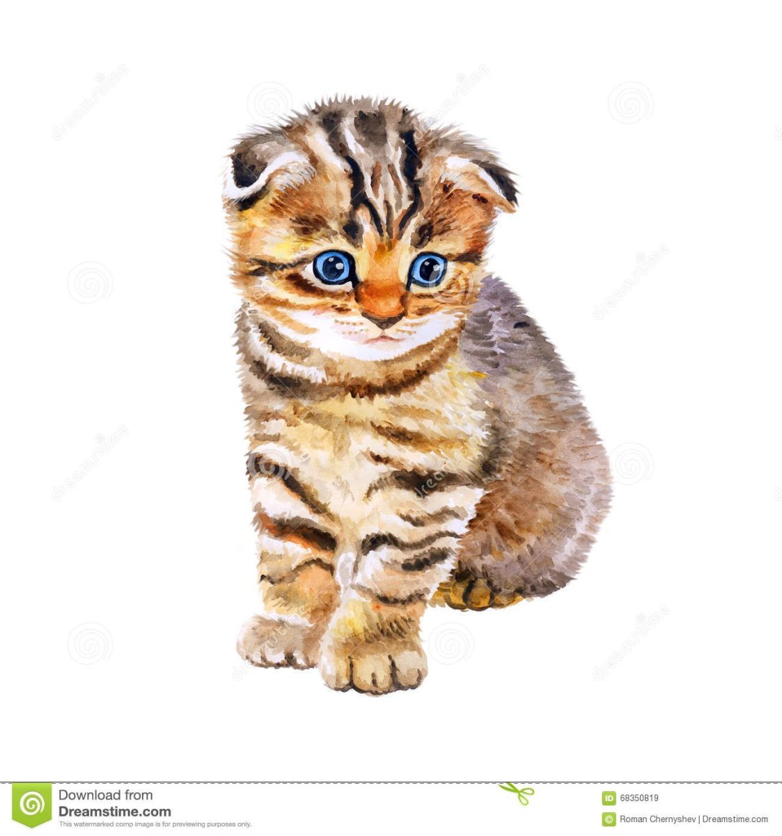 Тойгер и бенгал