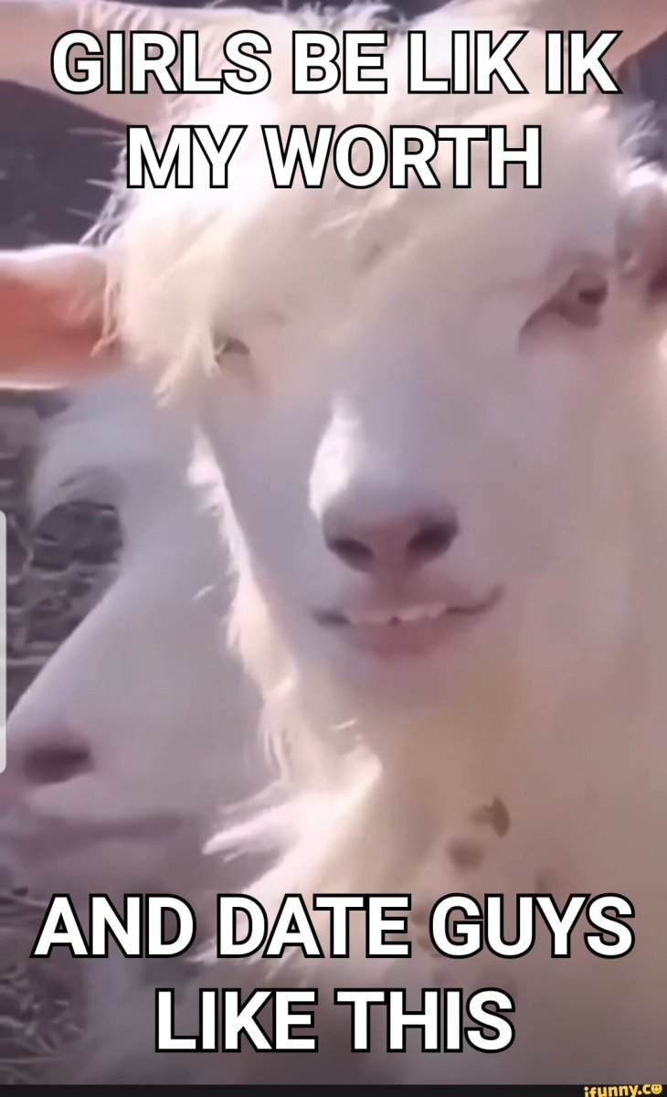 Козочка на белом фоне