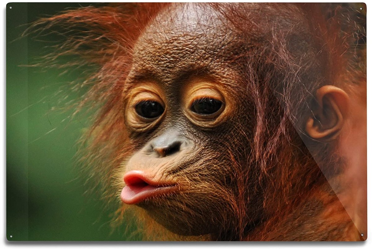 Обезьянка с вытянутыми губами