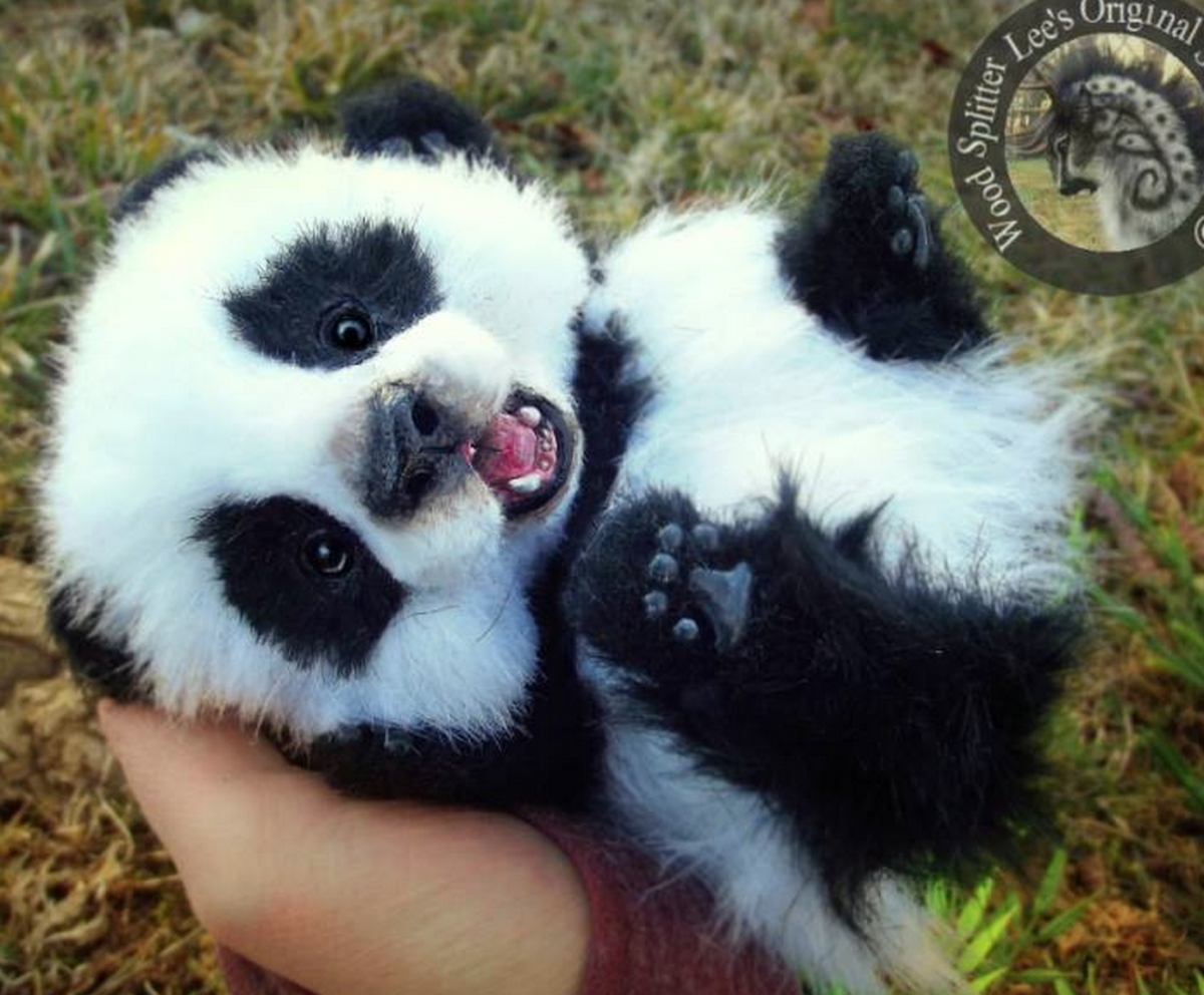 Маленькие пушистые панды