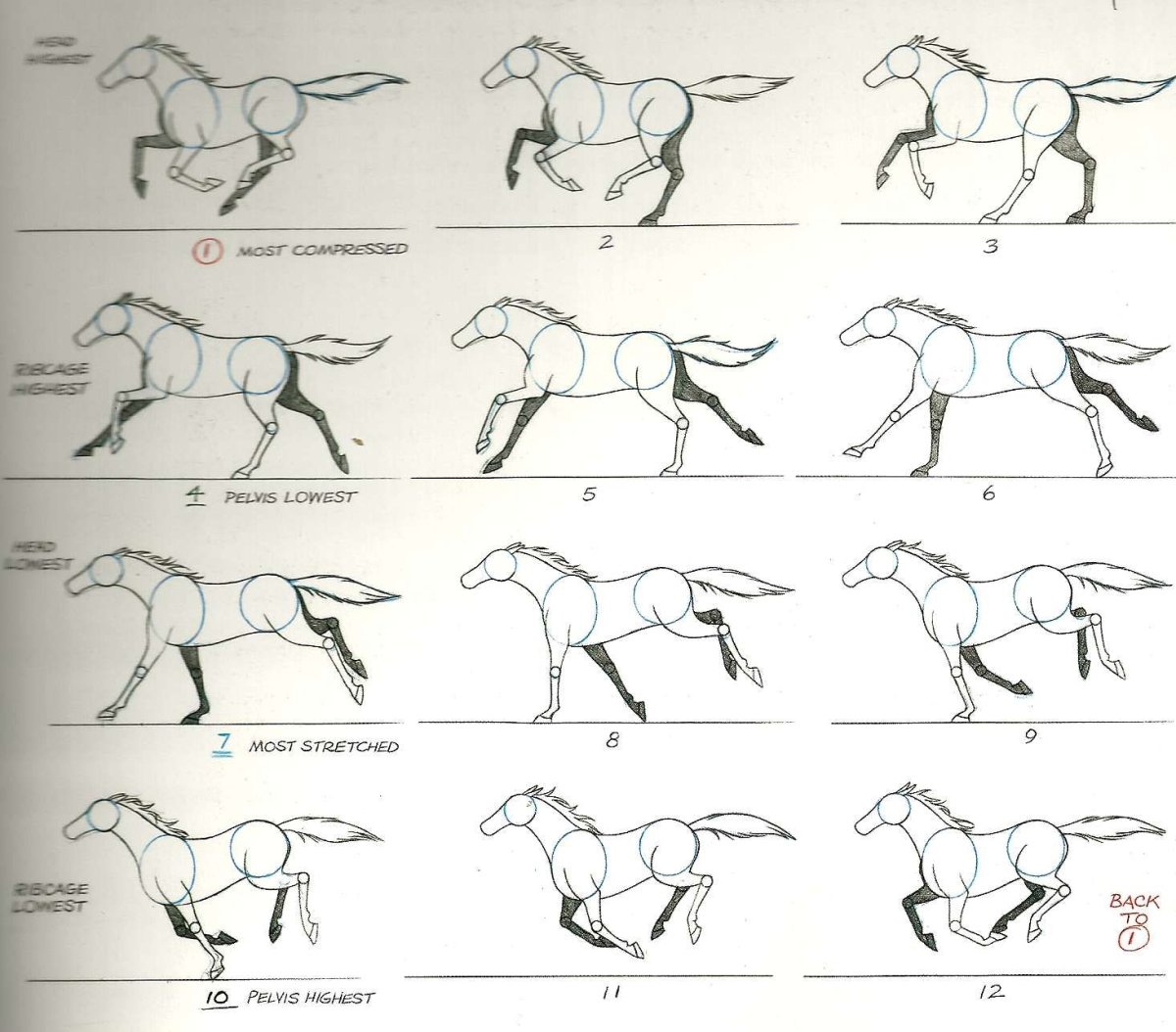 Белая лошадь на дыбах