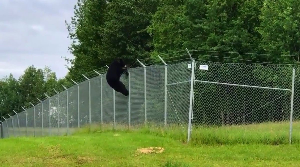 Ярославский зоопарк ландшафтного типа