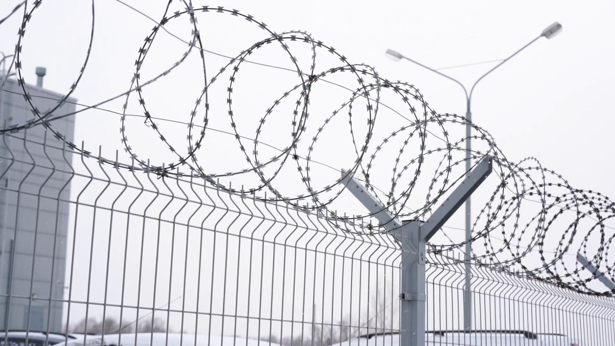 Странные животные