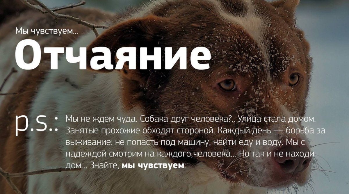 Противопобеговое заграждение шиповник