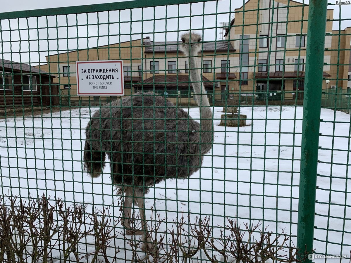 Барьер безопасности СББ "Егоза-500"