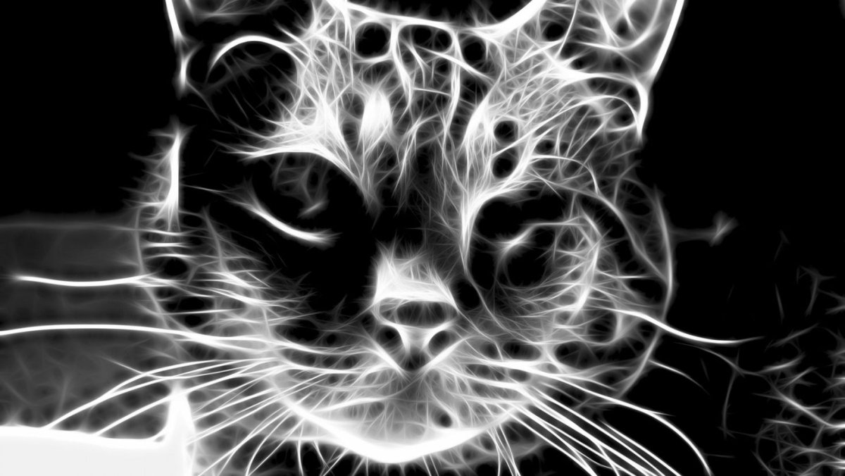 Неоновый кот