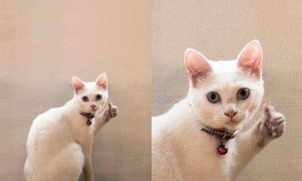 Макет котика