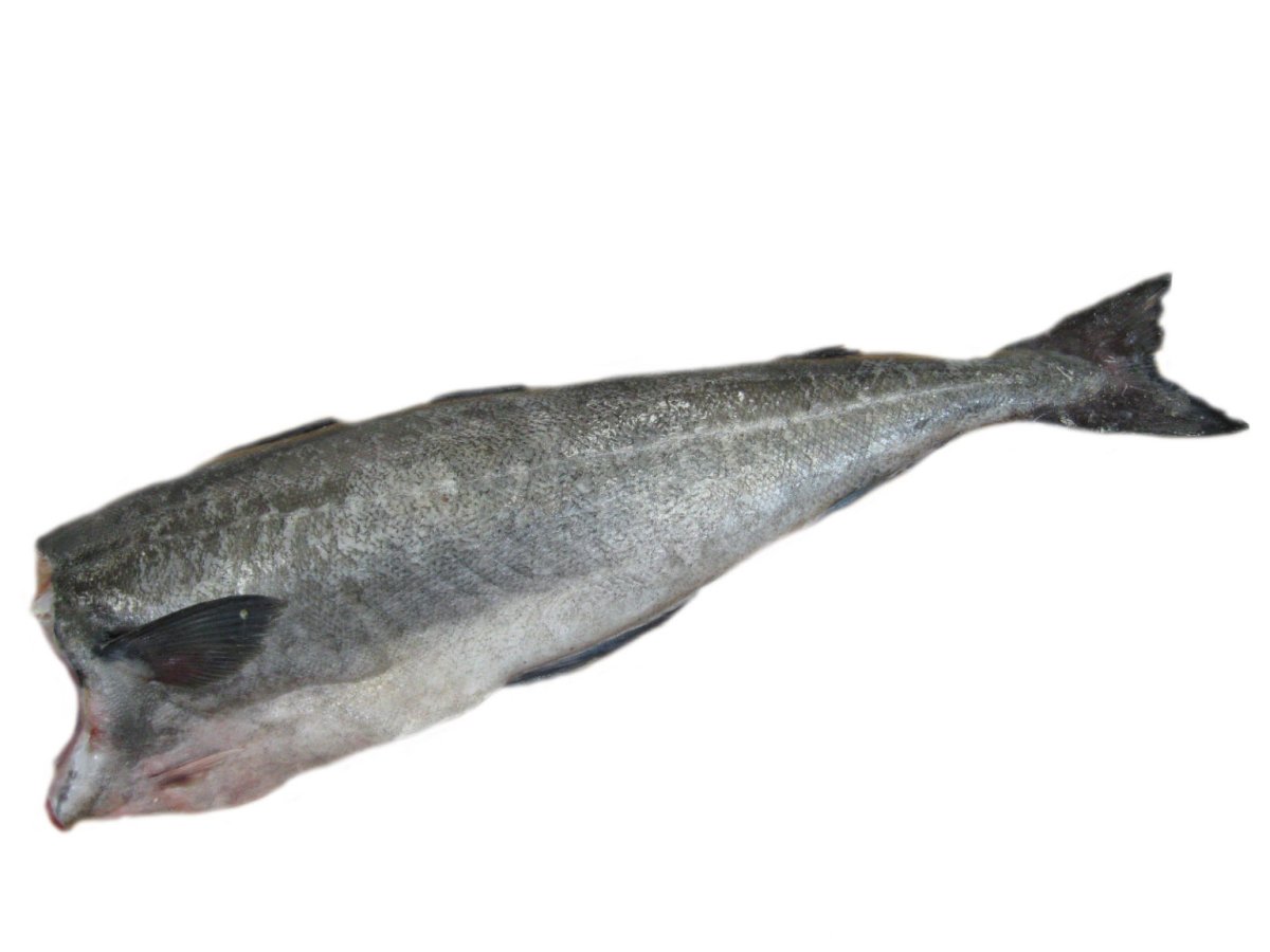 Треска рисунок