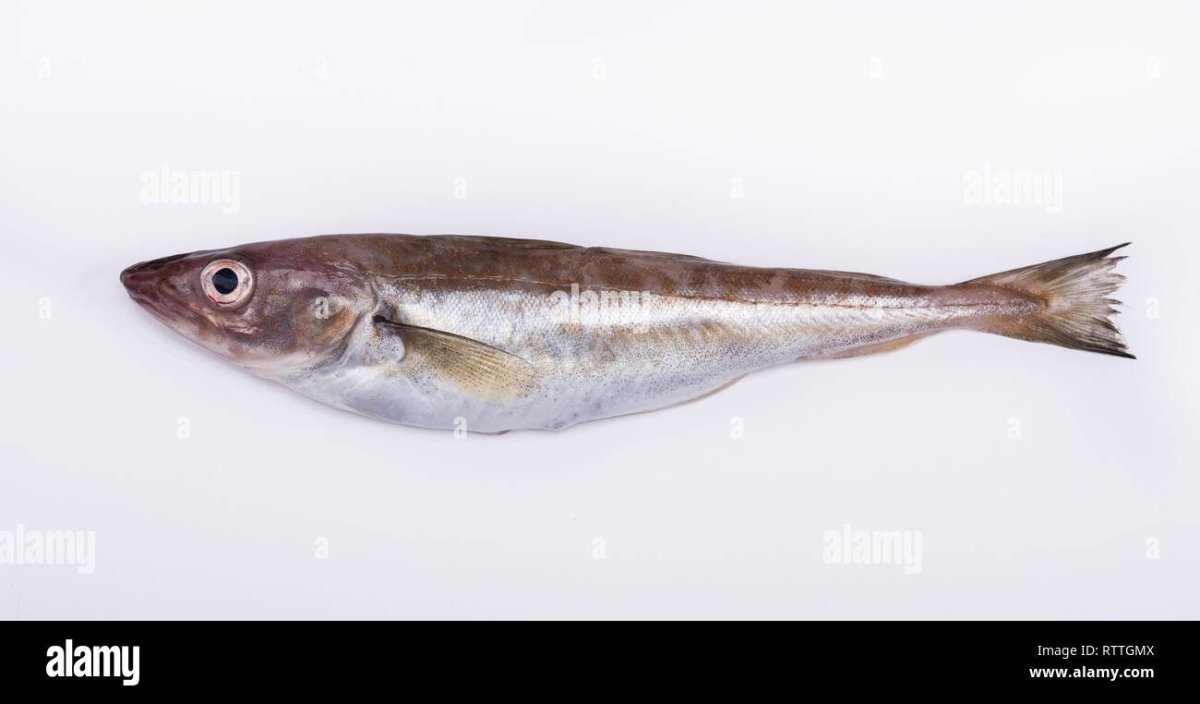 Филе трески Еврофиш 6.81