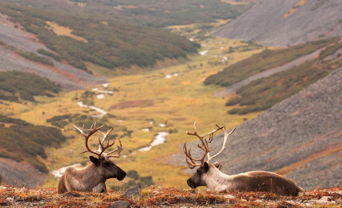 Плато Путорана