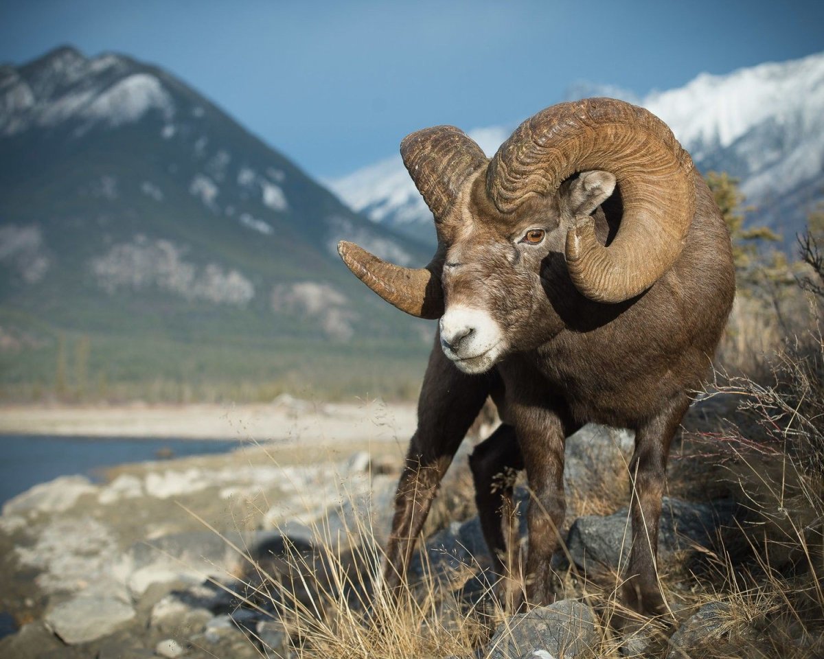 Плато Путорана Красноярский