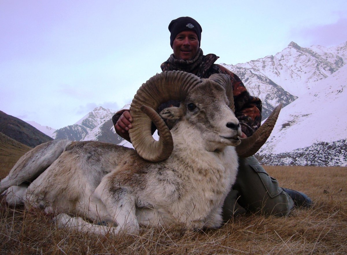 Черная овца