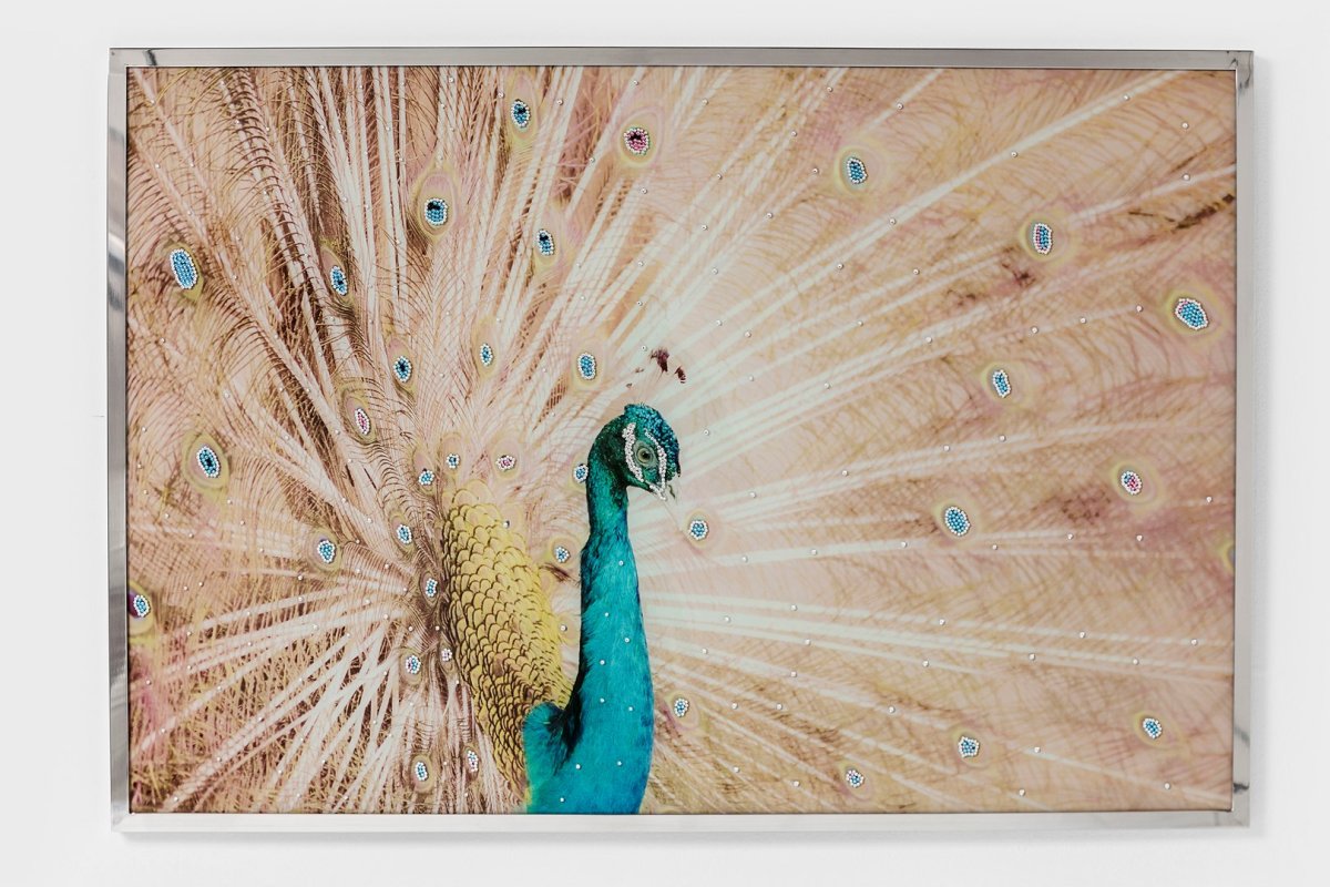 Обои с рисунком павлина