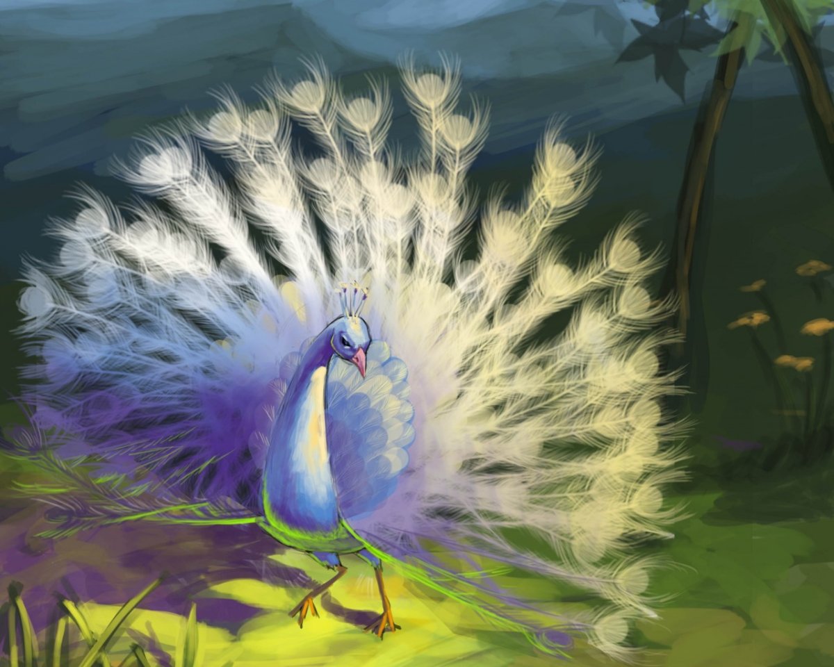 Птица Павлин белый