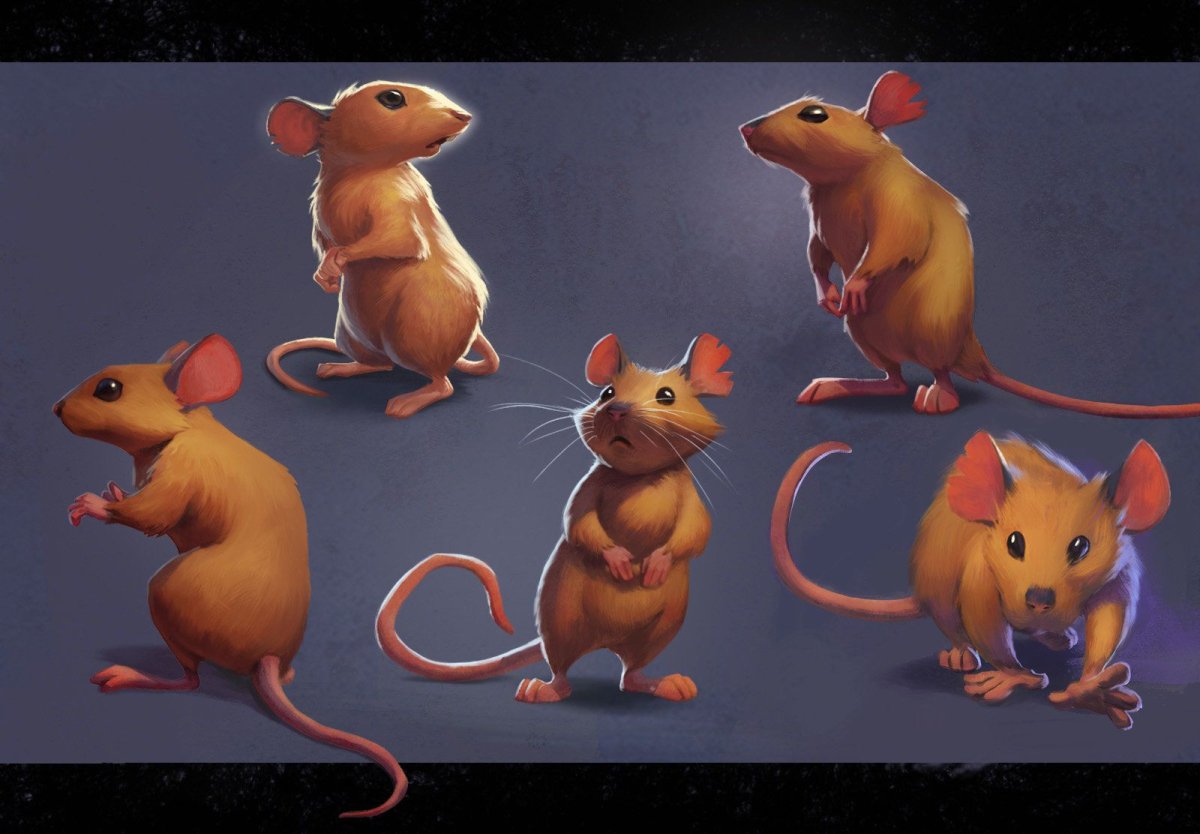 Африканская тростниковая крыса