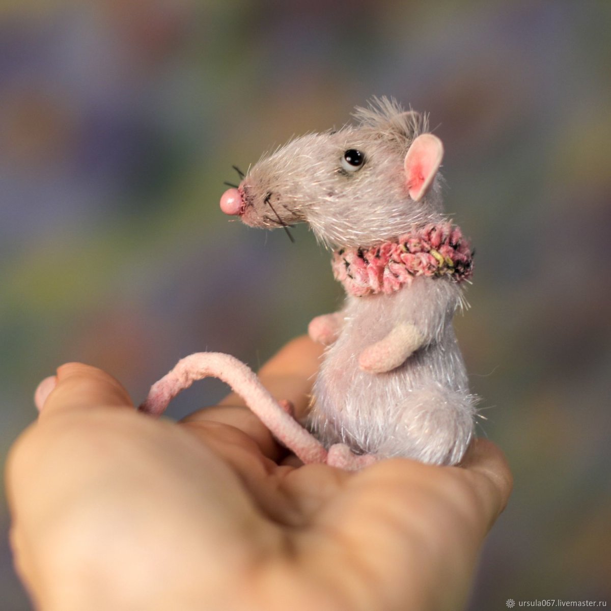 Рыжая крыса Дикая