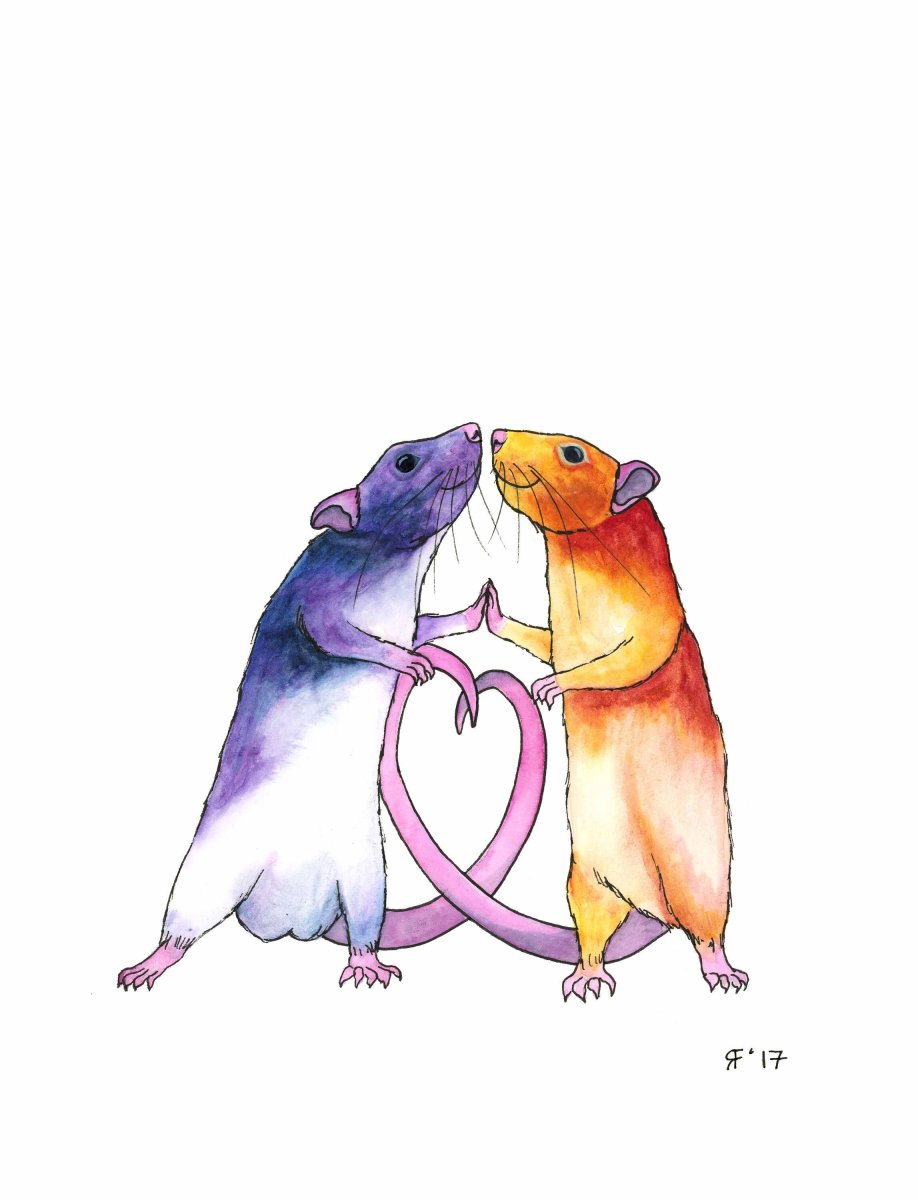 Милые крыски