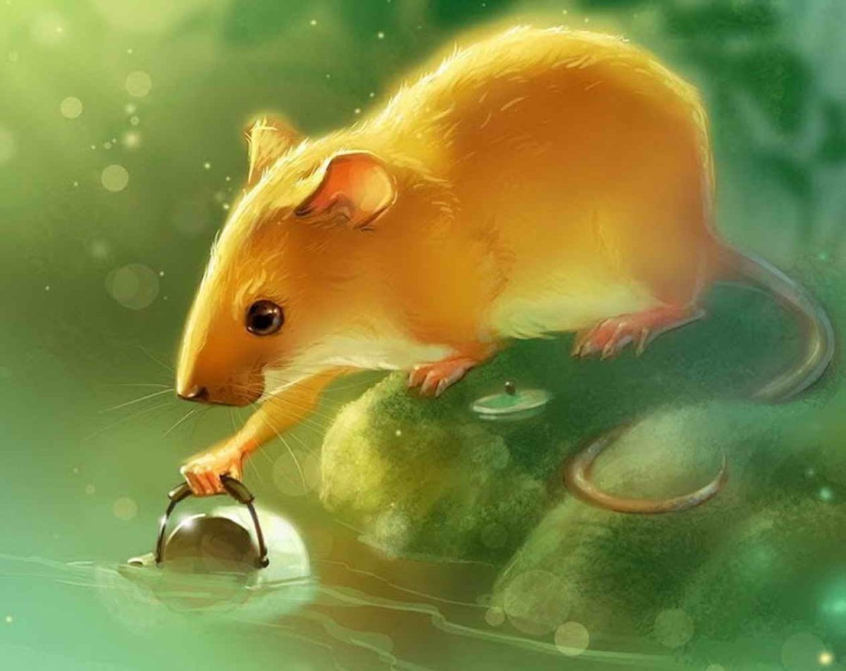 Крысенок в цветах