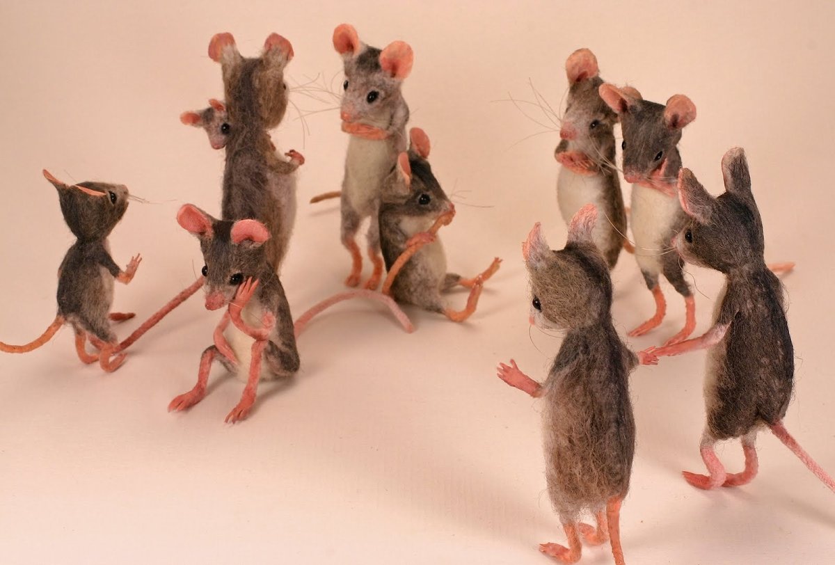 Рыжая крыса Пасюк