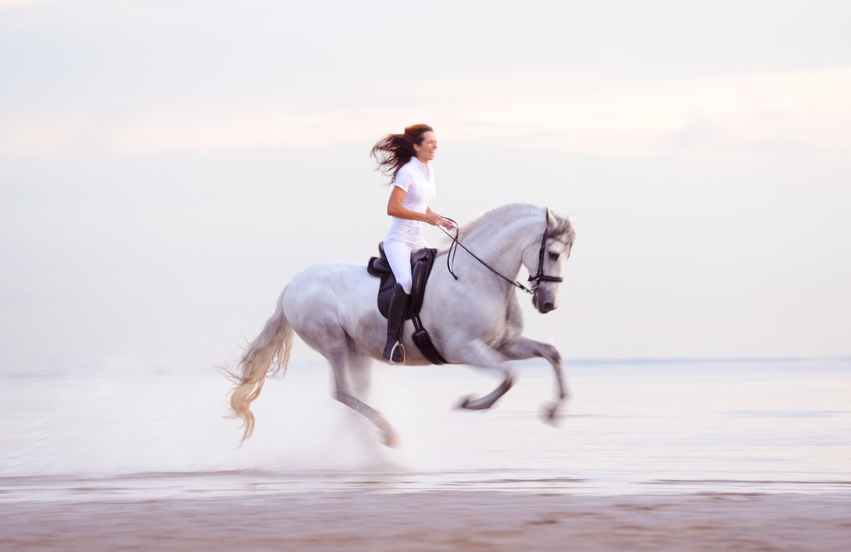 Верхом на коне