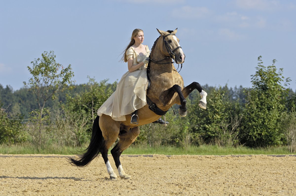 Верховая езда