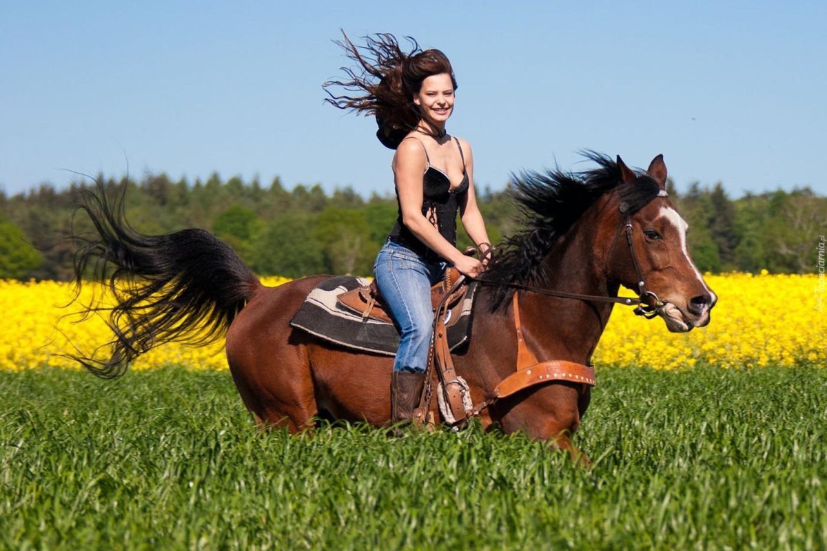 Девушка на коне