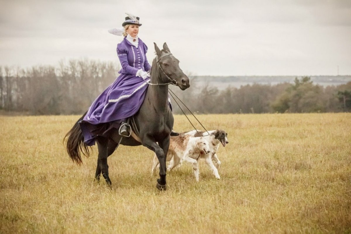 Дама на лошади