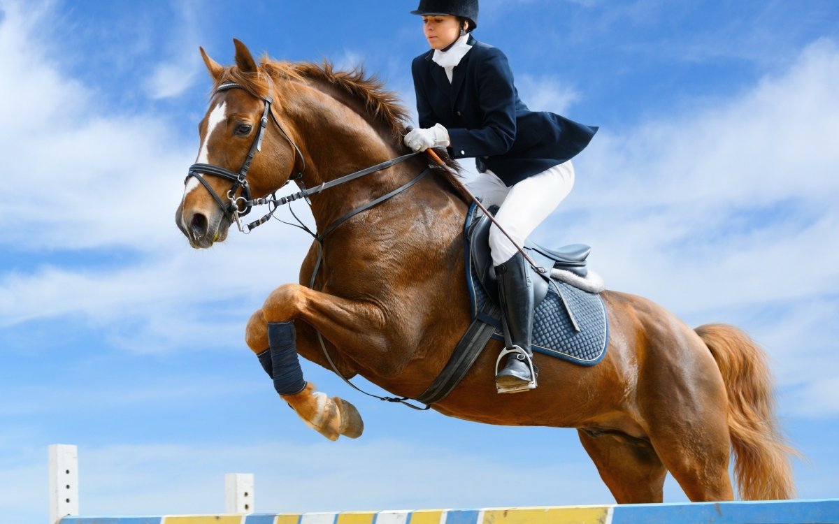 Телевизор Rolsen RL-19e1501t2c 19" (2014)