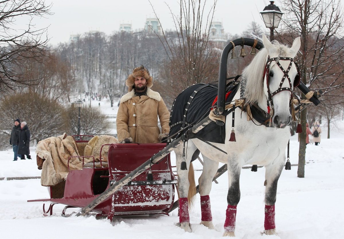 Тройка лошадей запряженная в сани