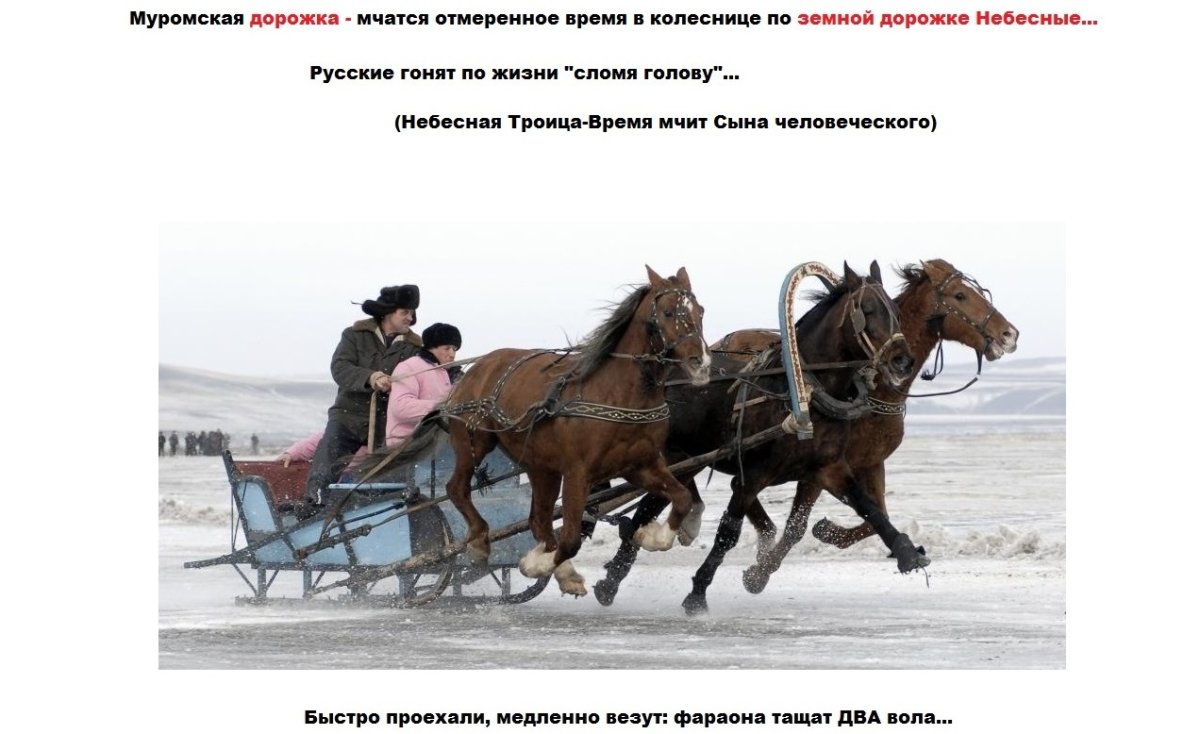 Тройка лошадей запряженная в сани