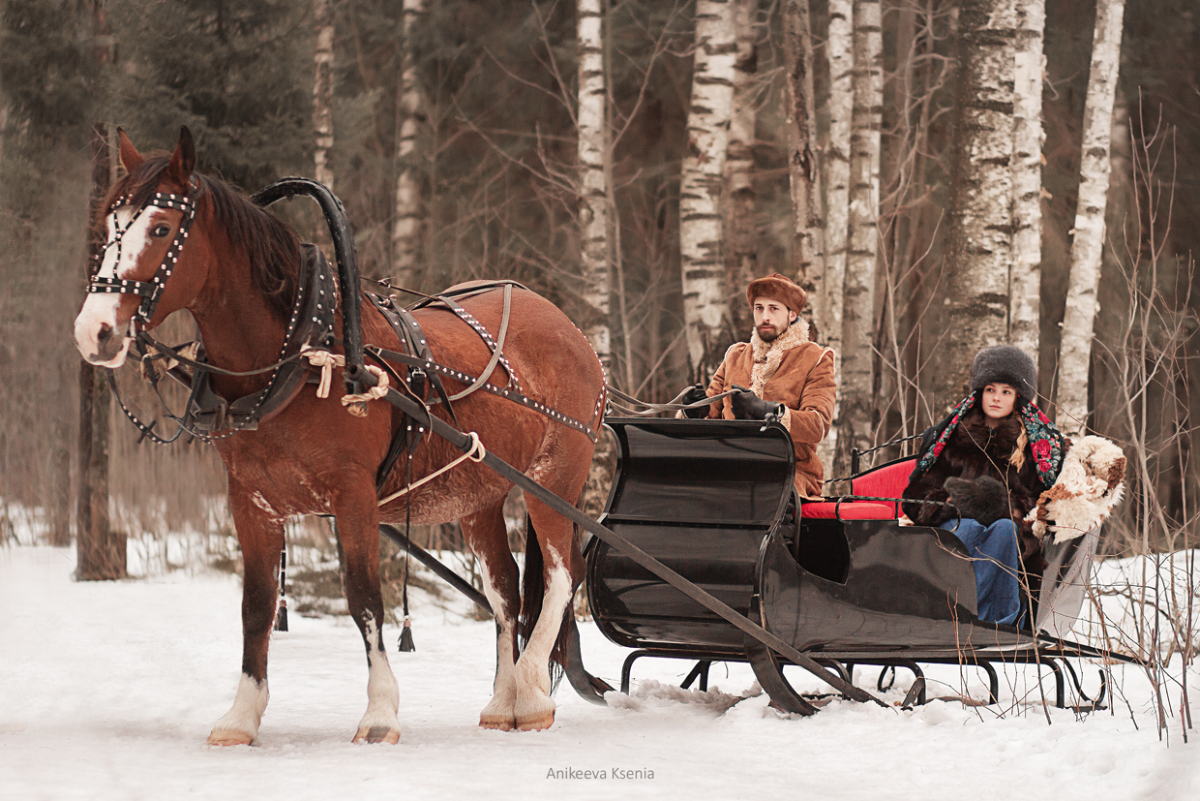Сани для упряжки лошадей