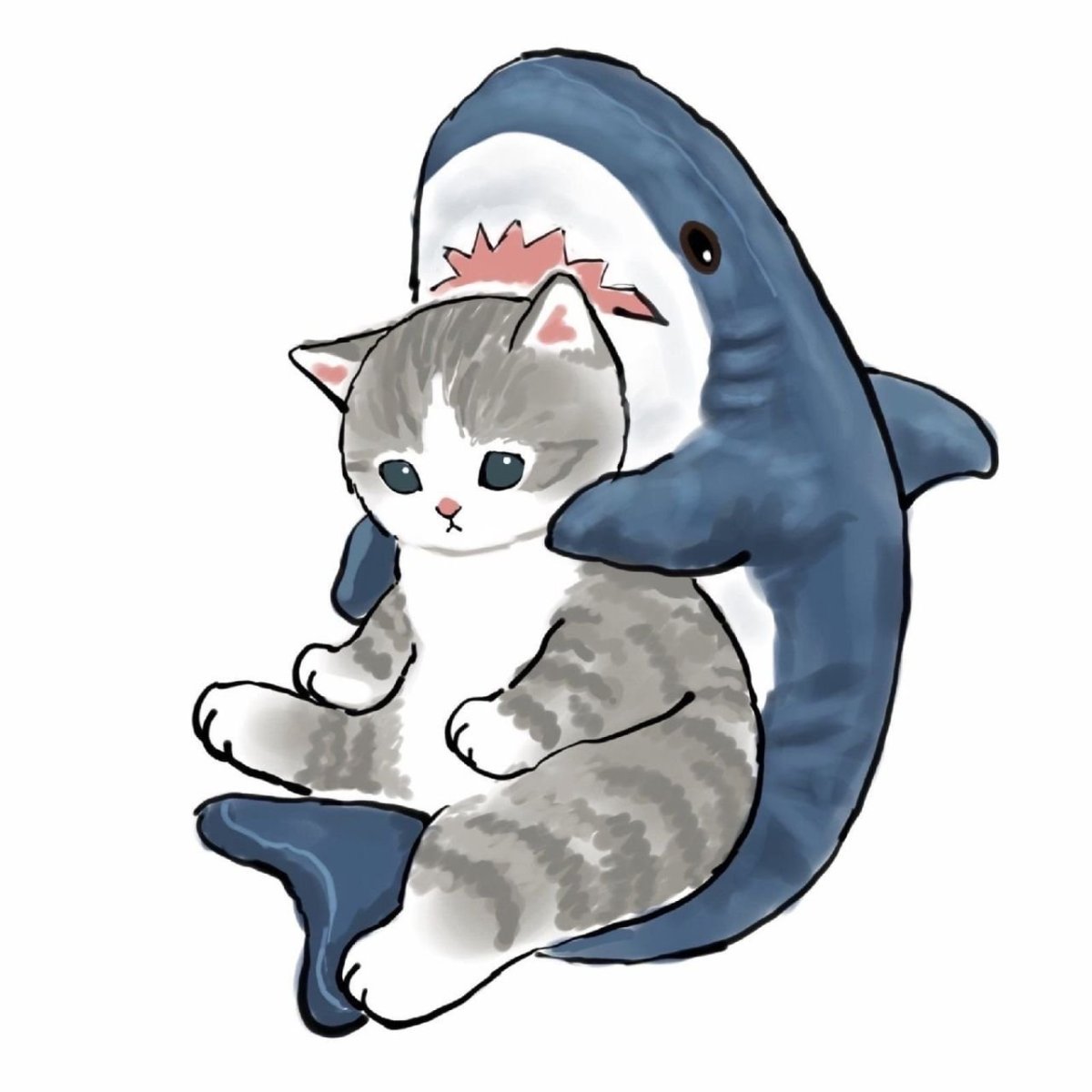 Котик в костюме акулы