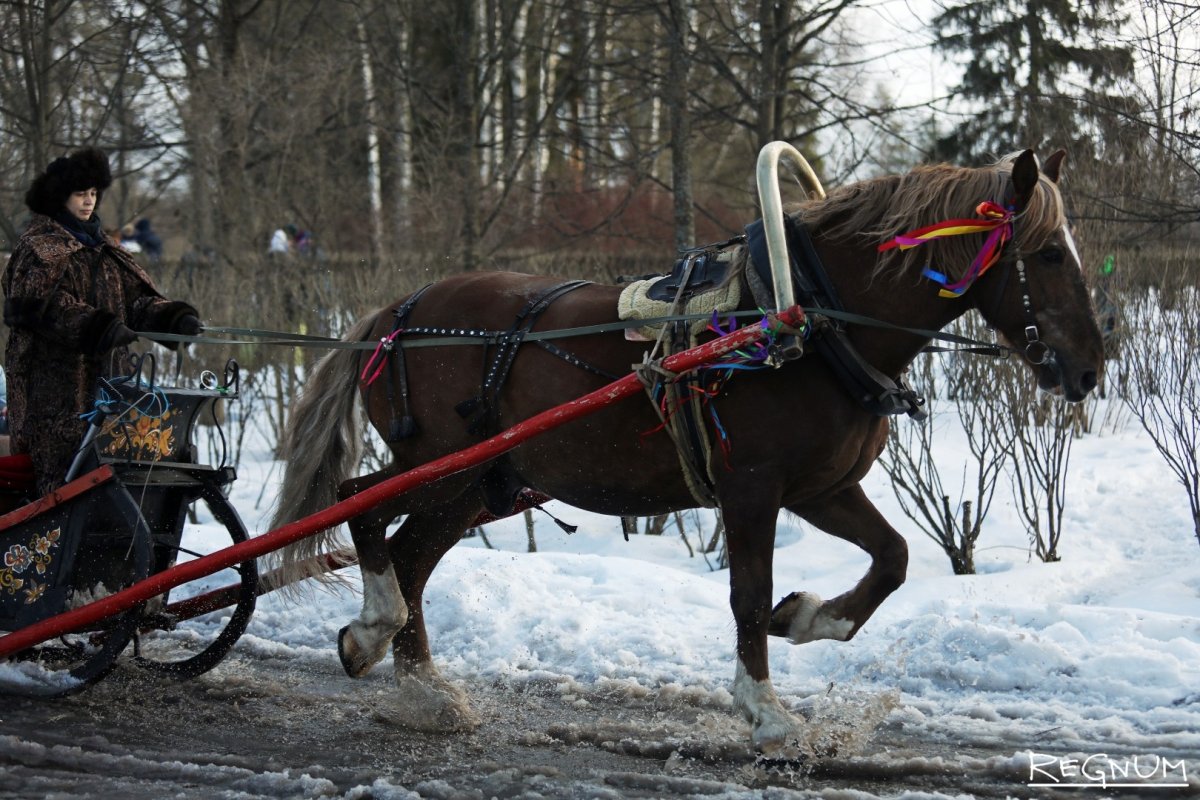 Запряжка лошадей гуськом