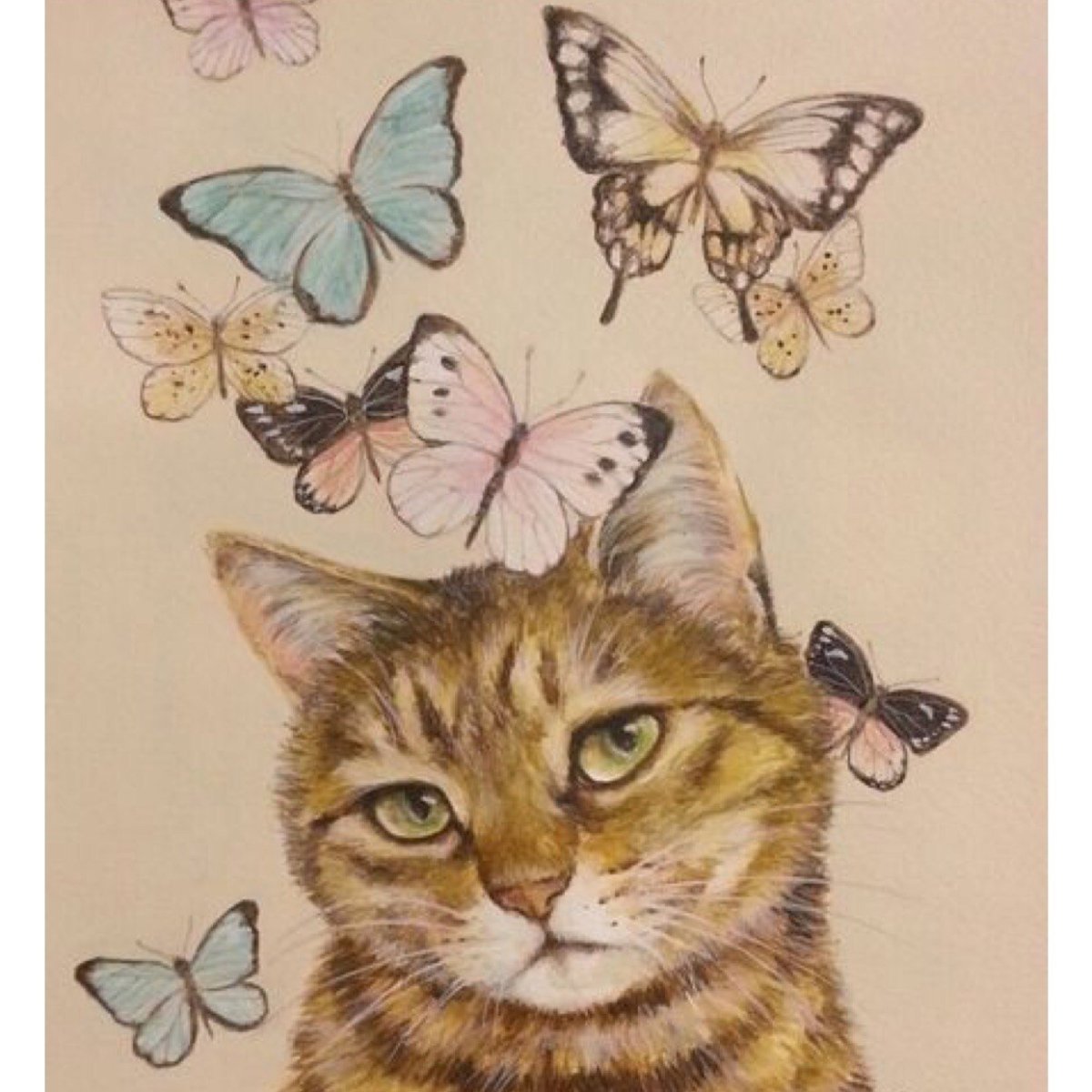 Кошка с бабочками