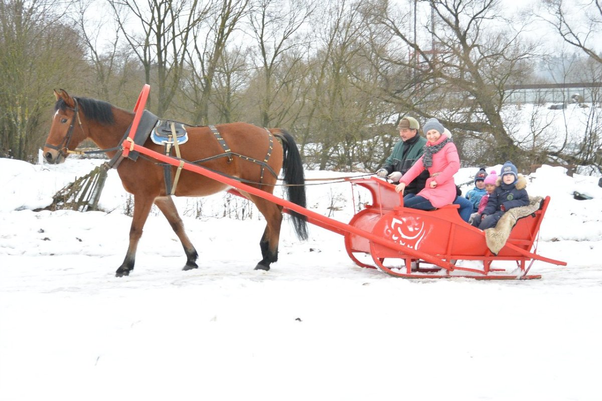 Сани для катания на лошадях