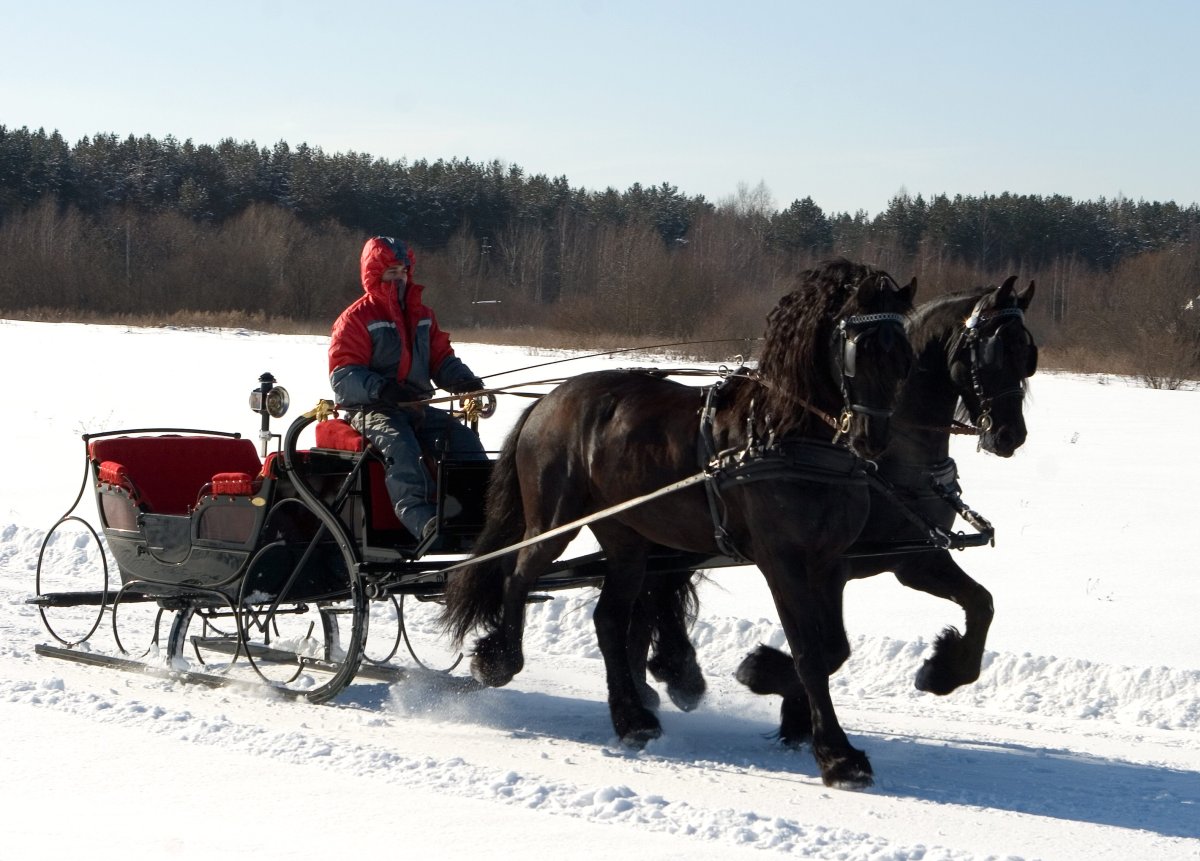 Упряжь в сани