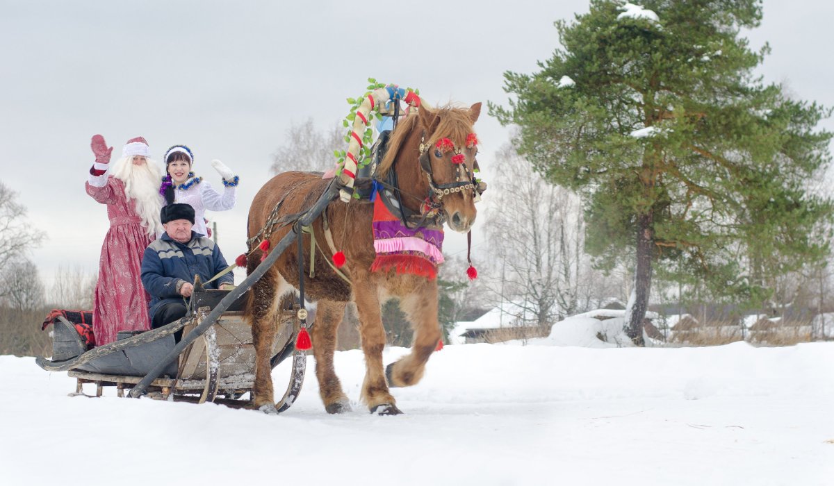 Новогодняя упряжка лошадей