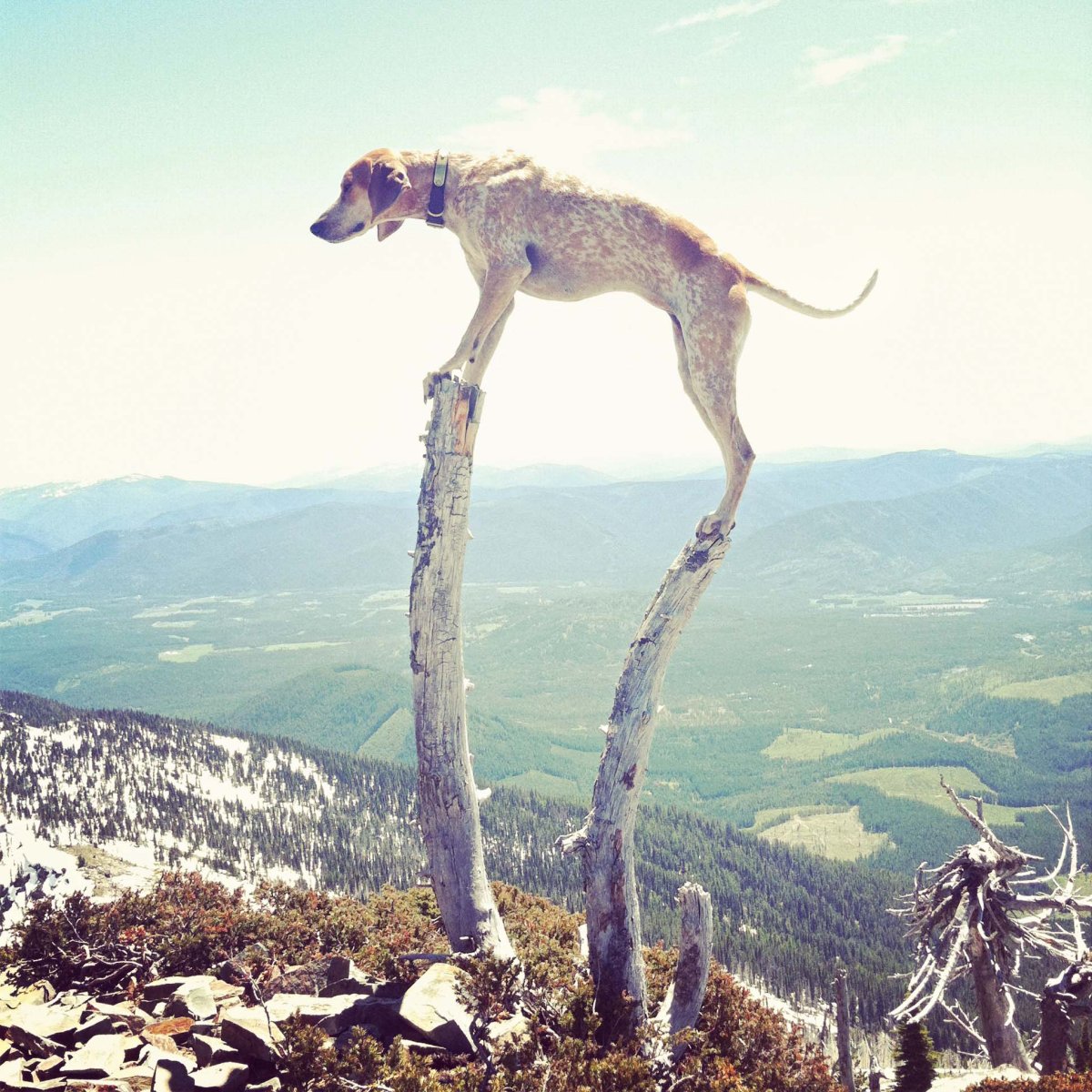 Черви люди в черном фильм