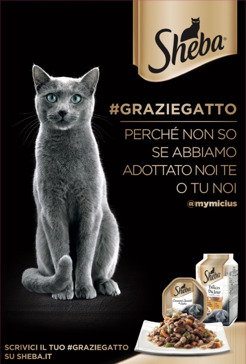 Жидкий корм для кошек Шеба